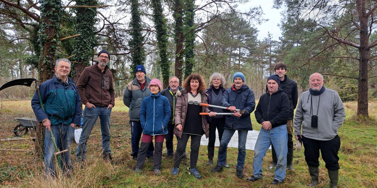 Chantier nature du 22 janvier 2025 à Gironville-sur-Essonne (photo Le Geai).